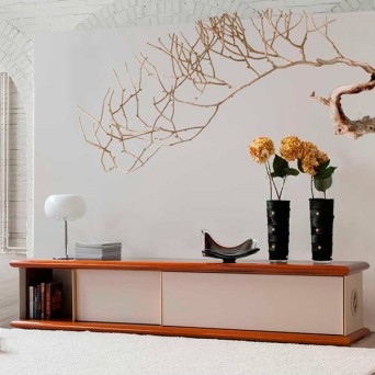 Comprar online mueble de TV Fortune 2. 2
