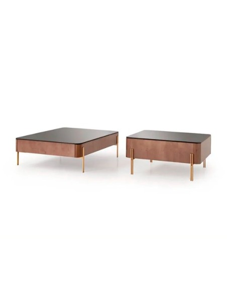 Mesa de centro 4231