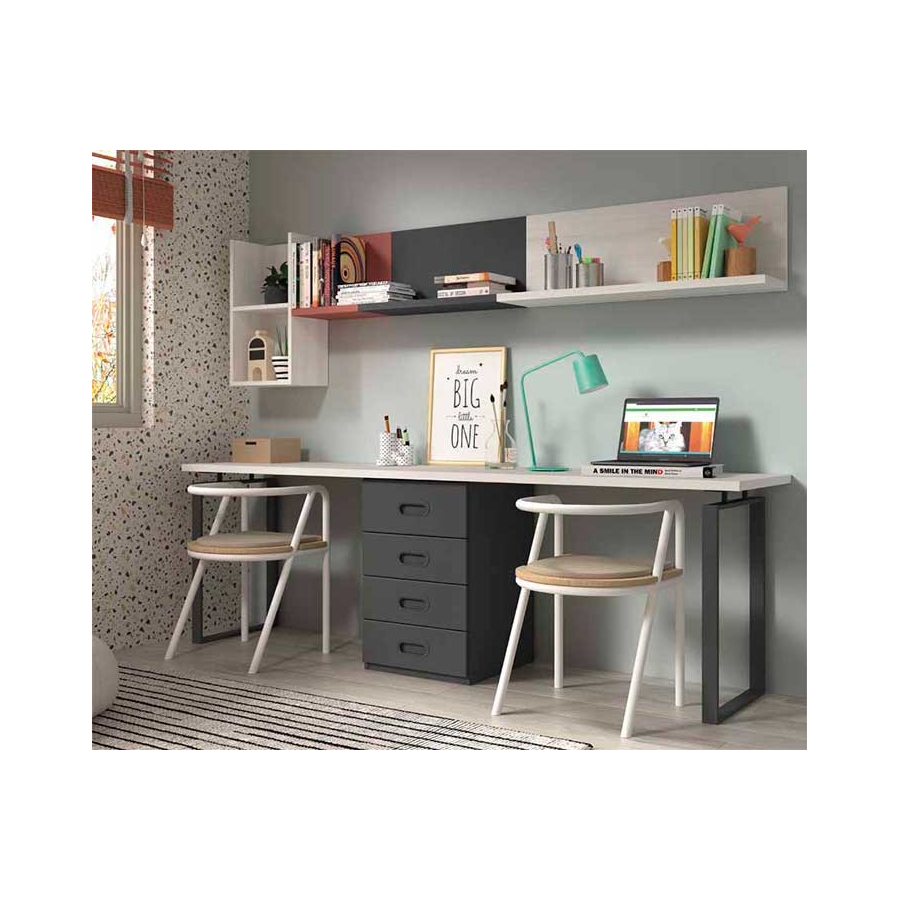 Dormitorio Juvenil con Litera F202 zona de estudio