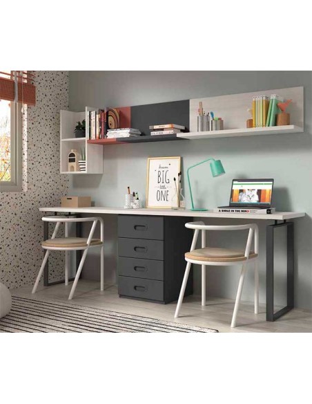Dormitorio Juvenil con Litera F202 zona de estudio