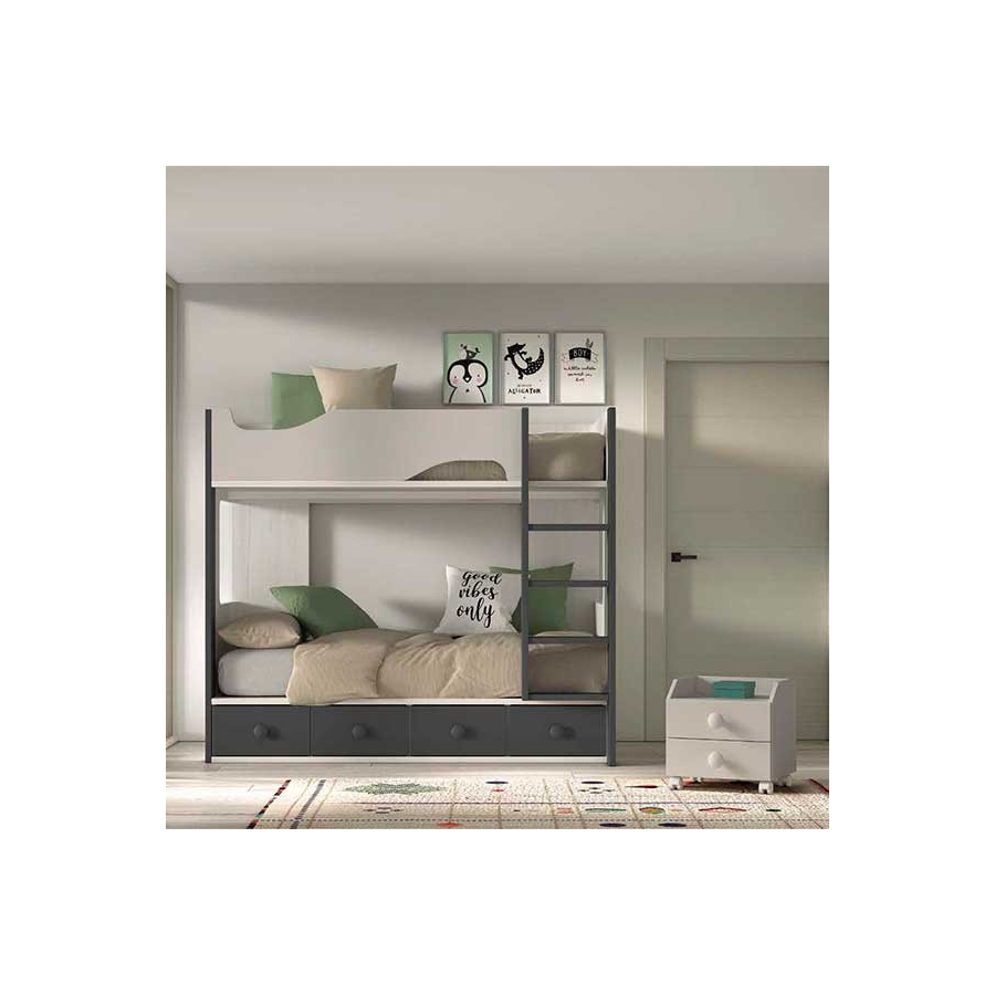 Dormitorio Juvenil con Litera F204
