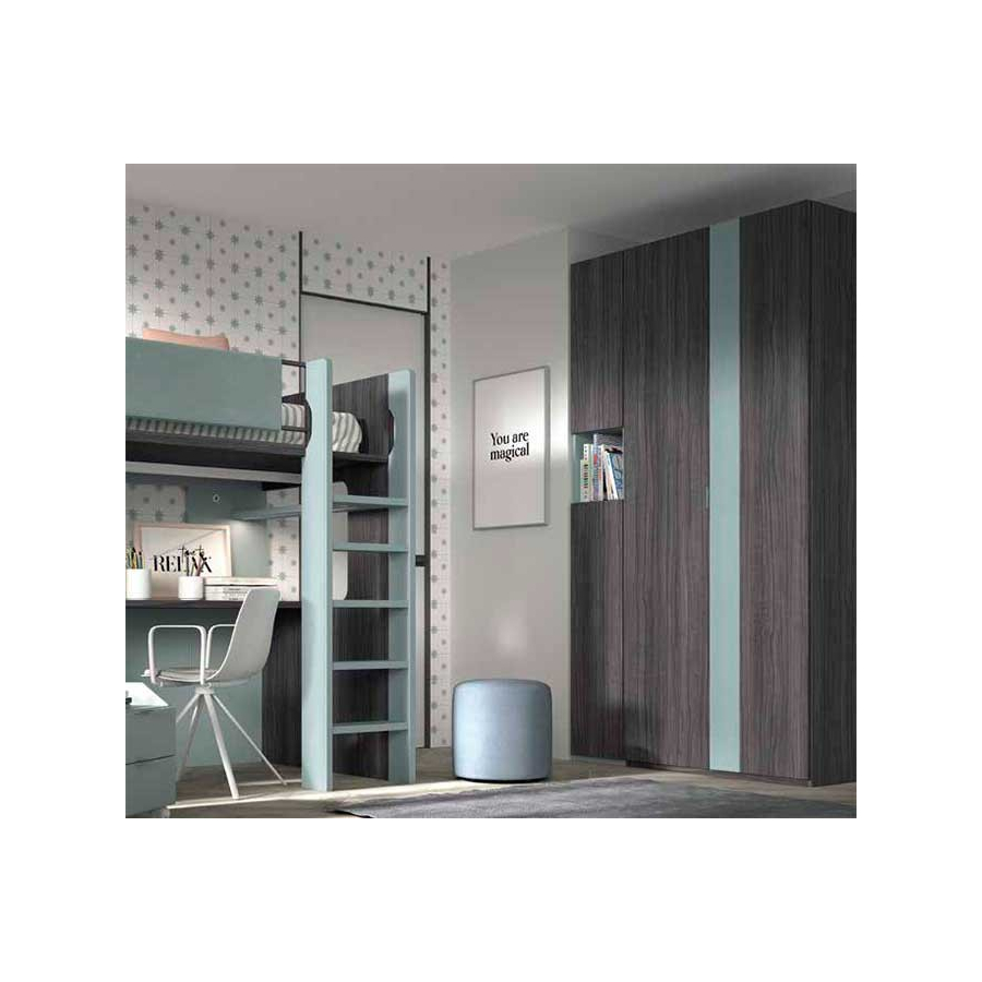 Dormitorio Juvenil con Litera F205 armario