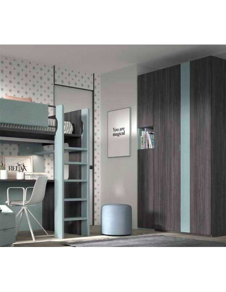 Dormitorio Juvenil con Litera F205 armario