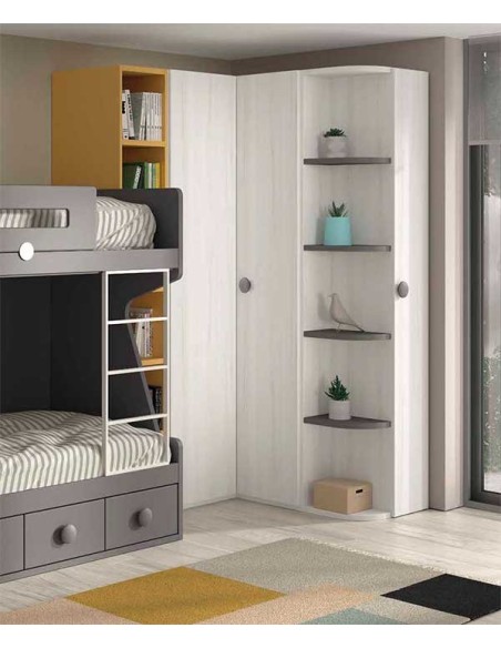 Dormitorio Juvenil con Litera F209 armario