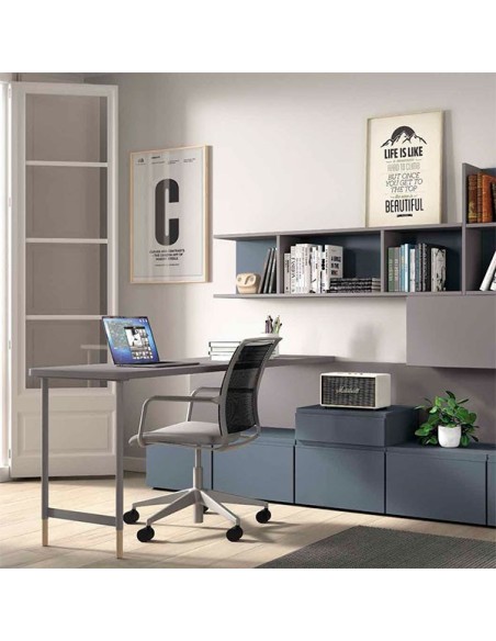 Zona de estudio F356 con mesa de despacho y librería