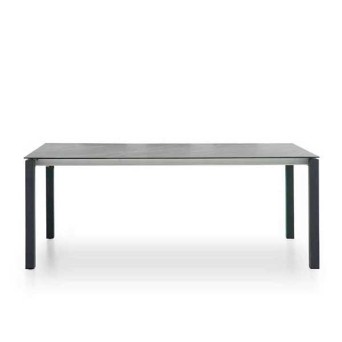 Mesa Sonali