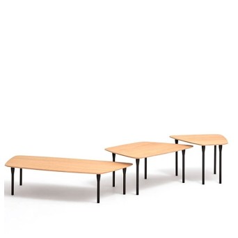 Mesa Insula