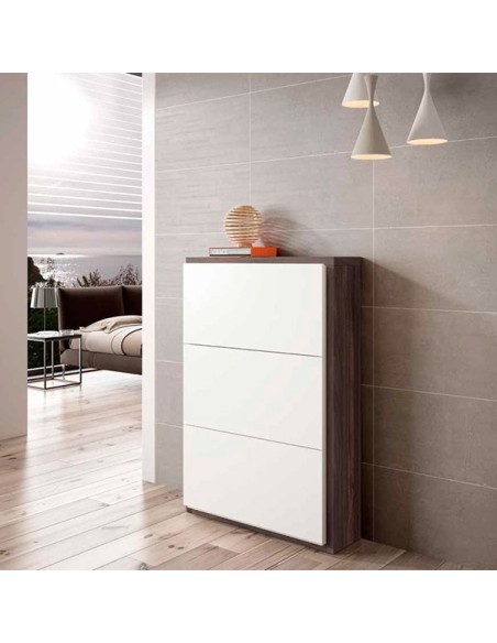 moderno 560