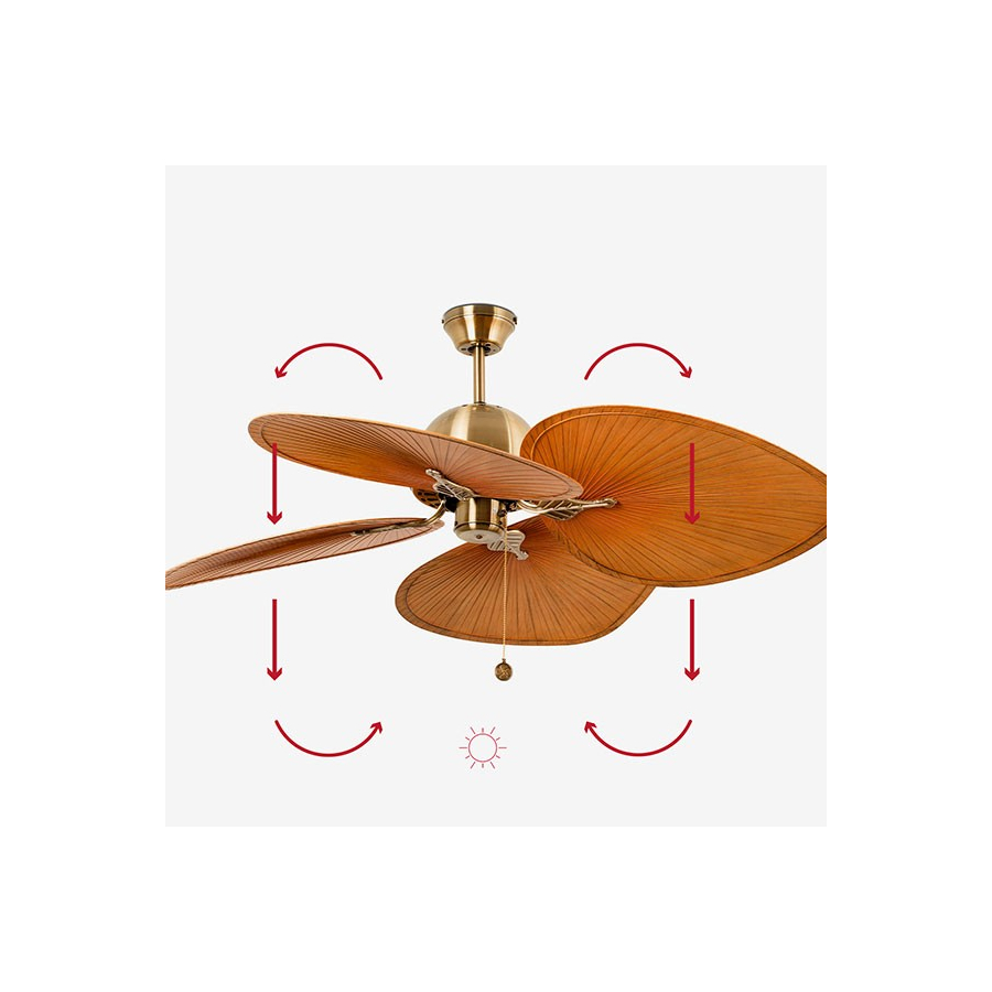 Ventilador de techo Cuba calor