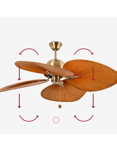 Ventilador de techo Cuba calor
