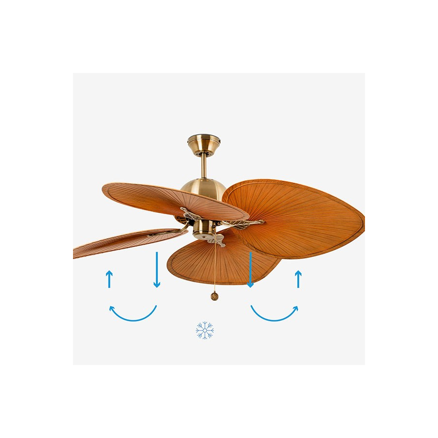Ventilador de techo Cuba fío