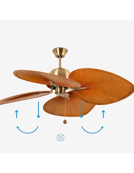 Ventilador de techo Cuba fío