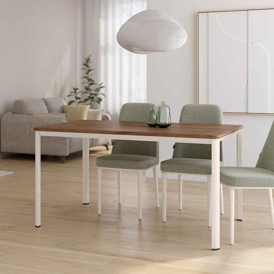 Mesa Onea