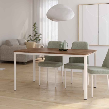 Mesa Onea