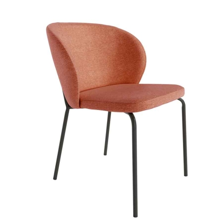 Silla Bergen salmon