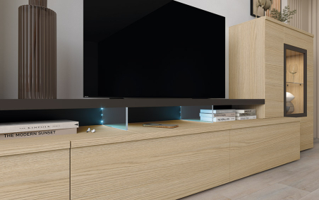 Detalle del módulo bajo y la tapa tv con soportes de cristal del Salón Neo 311