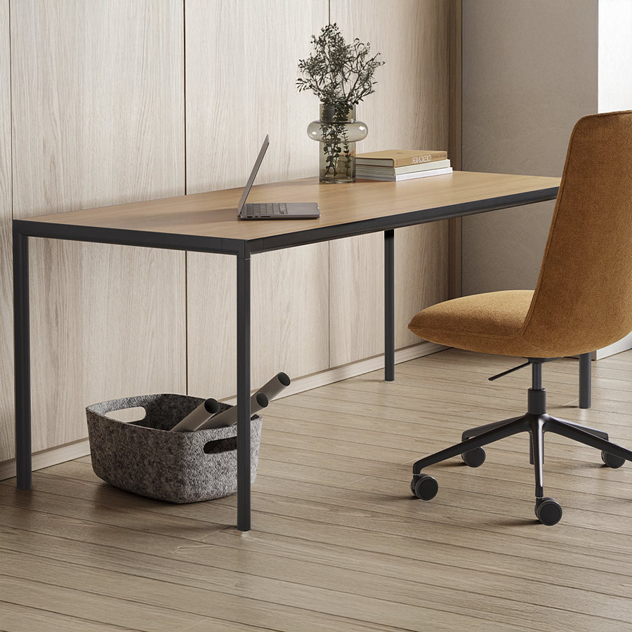 Mesa sui de ambiente en escritorio.