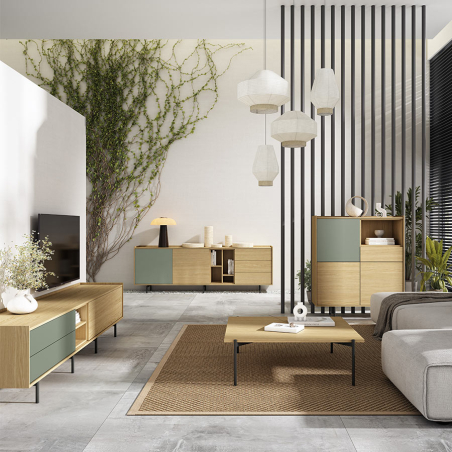 Vista en ambiente del Mueble TV Elva de BoCubi, con más diseños de la colección Elva