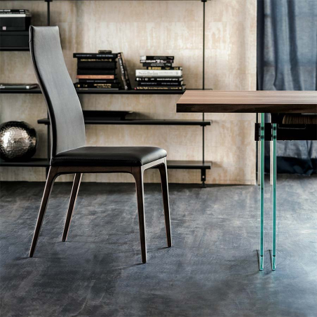 Perfil de la Silla Arcadia de Cattelan Italia