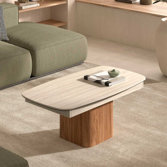 Mesa de centro elevable B119