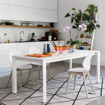 Silla Basil de Calligaris con patas en madera de fresno negro y carcasa en polipropileno 2