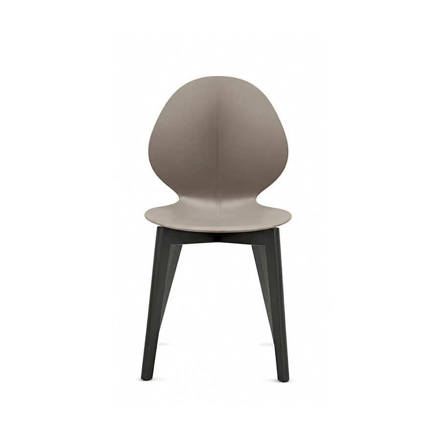 Silla Basil de Calligaris con patas en madera de fresno negro y carcasa en polipropileno