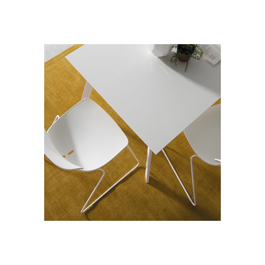 mariquita loyra en muebles lara