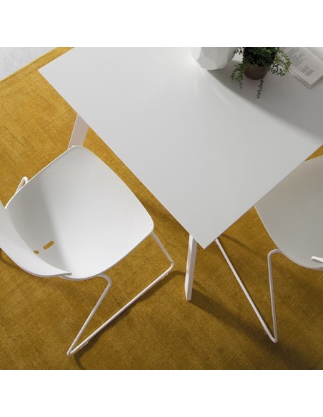 mariquita loyra en muebles lara
