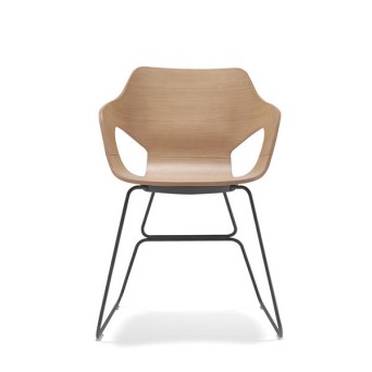 silla ole loyra