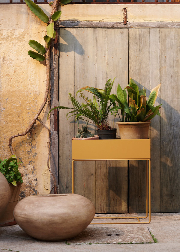 Macetero Plant Box de Ferm Living en color mostaza con plantas.